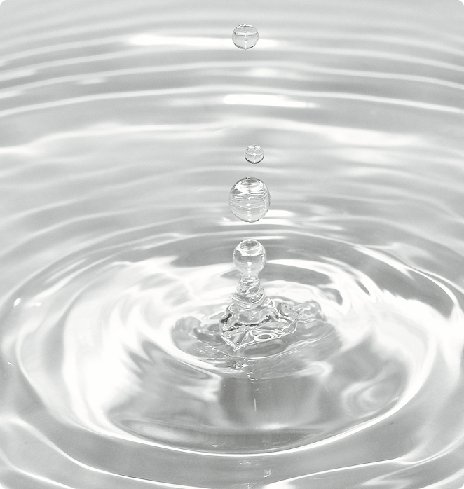 Investment & Holdings