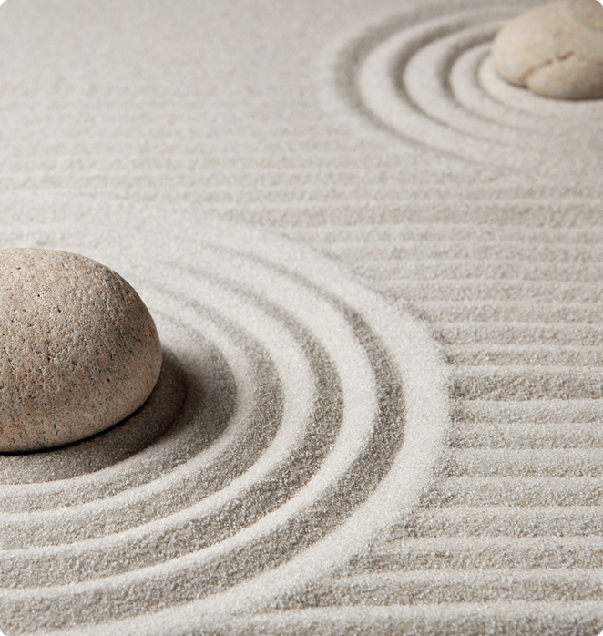 E-Commerce & Digital Business