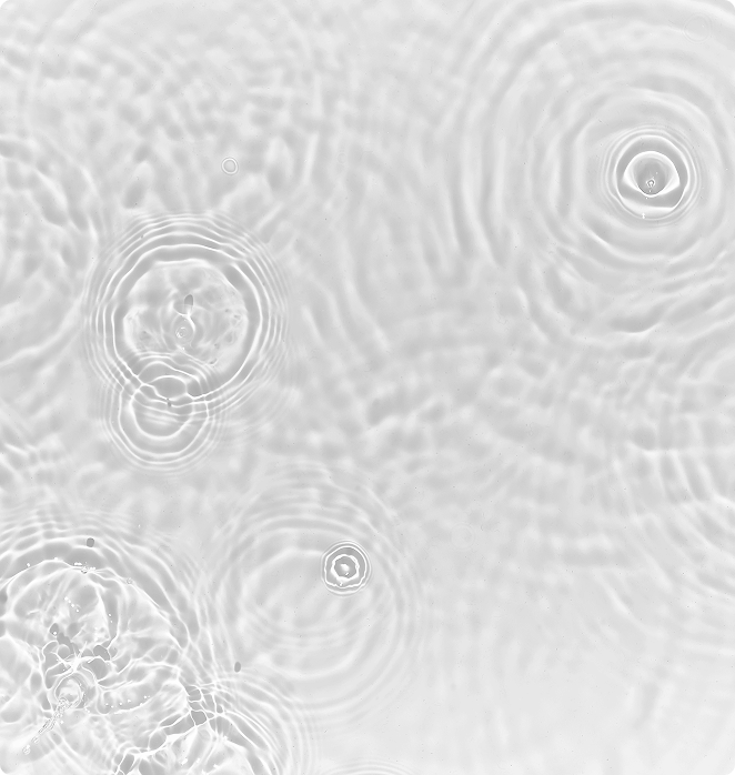 INTELLECTUAL PROPERTY